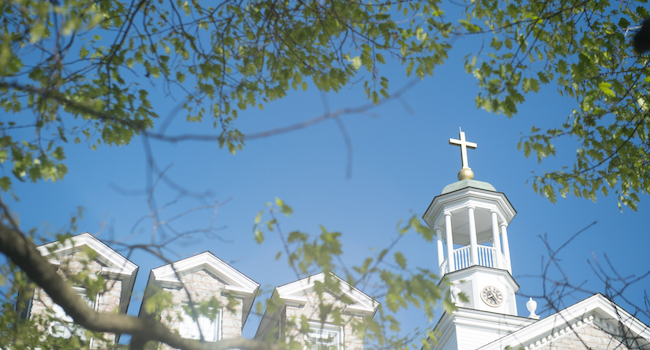 cupola with trees at msmu