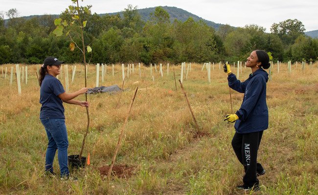 msmu day of service tree planting 2025