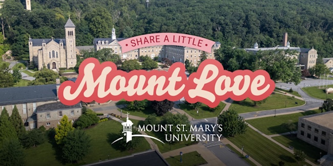 mount love stories graphic