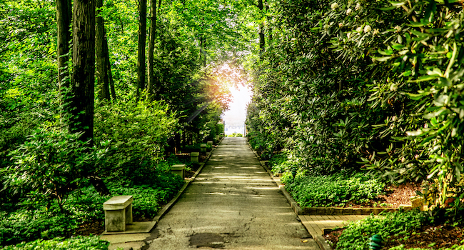 a path at the National Shrine Grotto